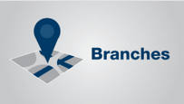 Branches Icon